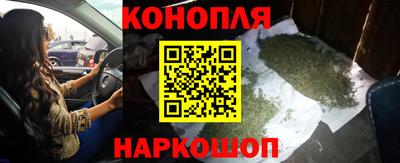 мяу мяу мука Славгород