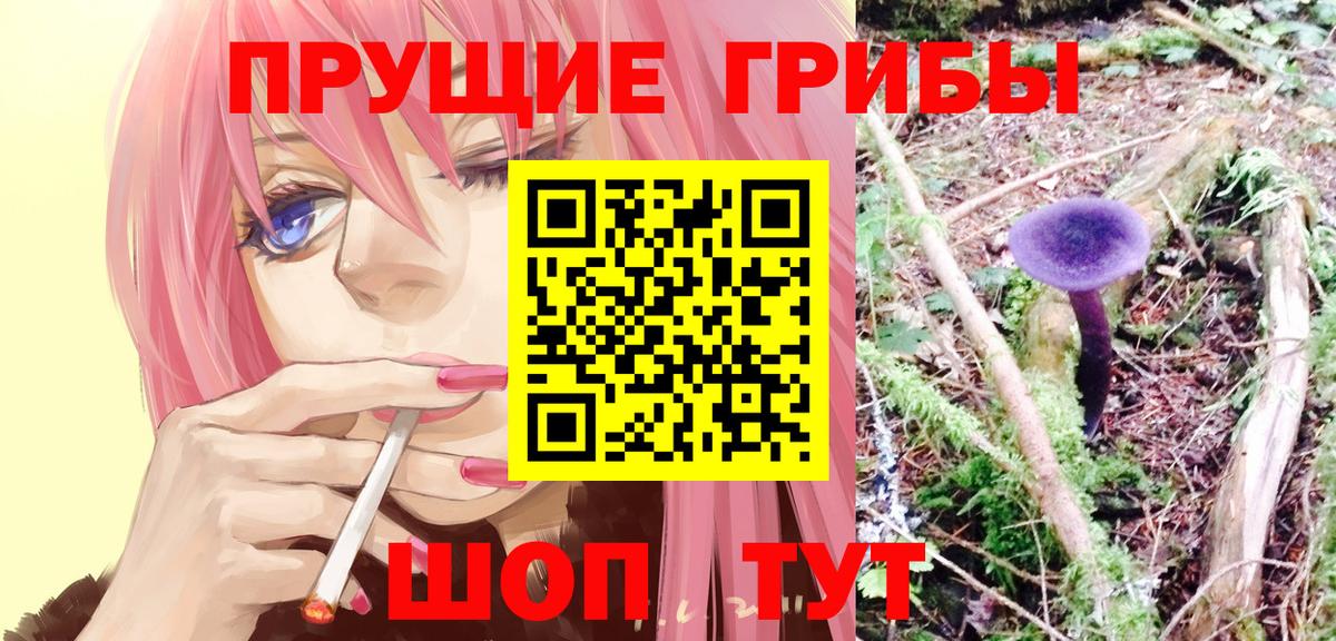 Галлюциногенные грибы Psilocybine cubensis  Вход с VPN  Санкт-Петербург 