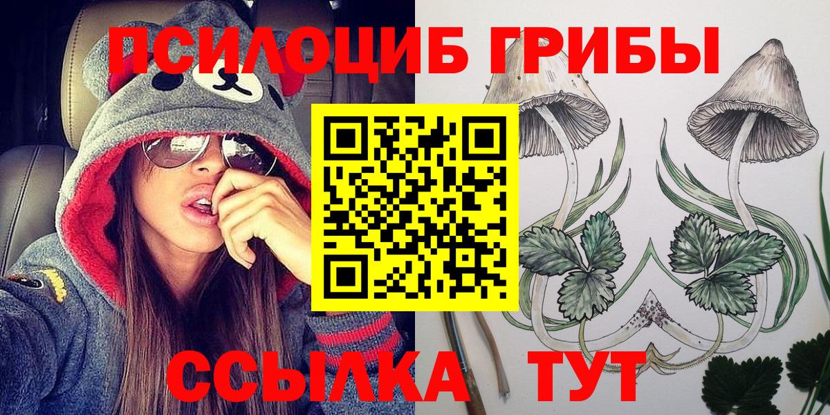 Псилоцибиновые грибы мицелий Санкт-Петербург